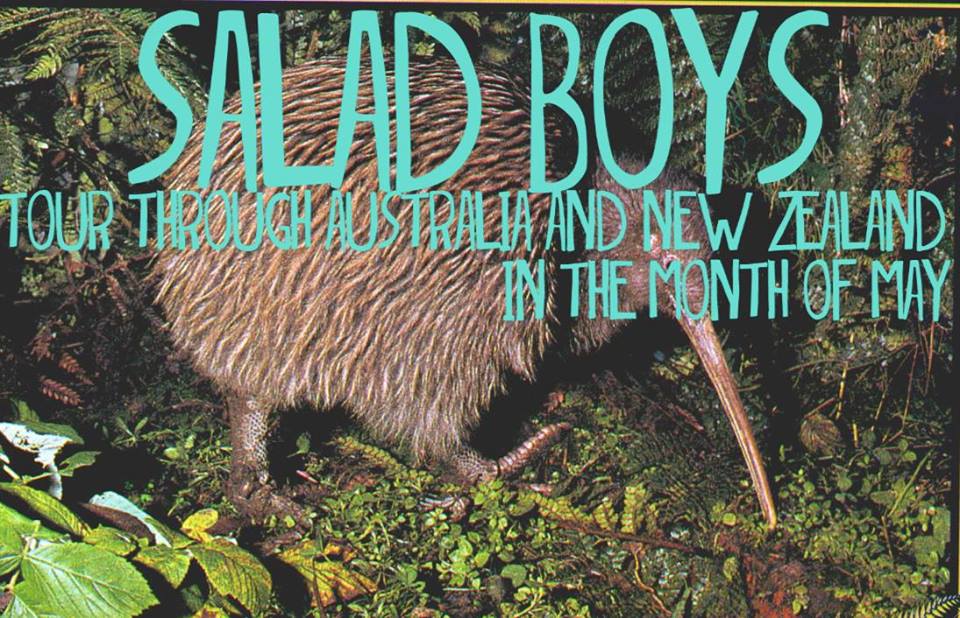 salad boys