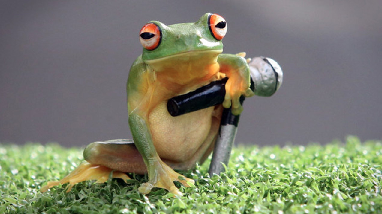 Frog Microphone 4