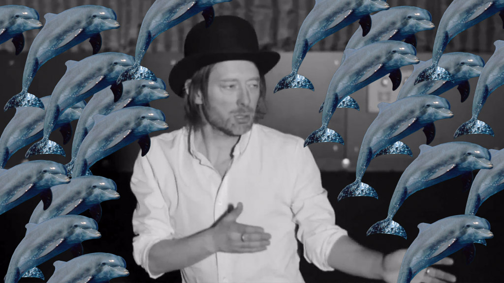Dolphins love Radiohead