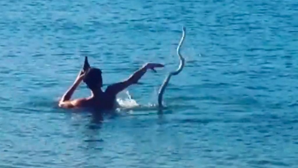 man wrestles snake in water