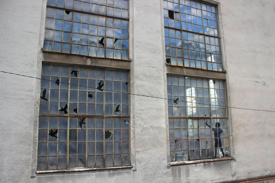 birds in broken glass