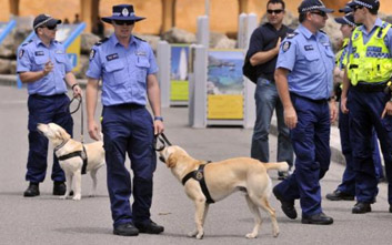 sniffer dogs drug testing australia music festivals victoria police