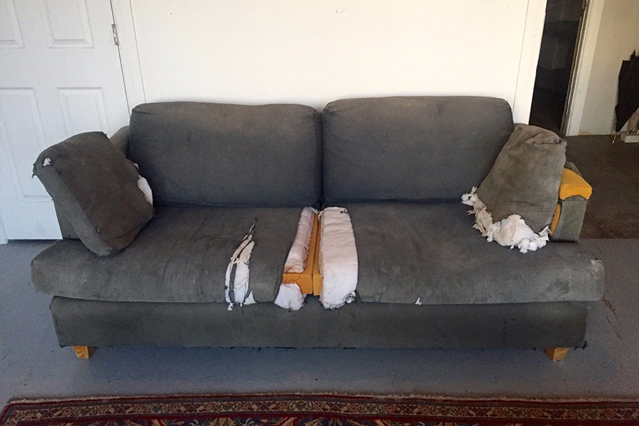 Mac Demarco Couch
