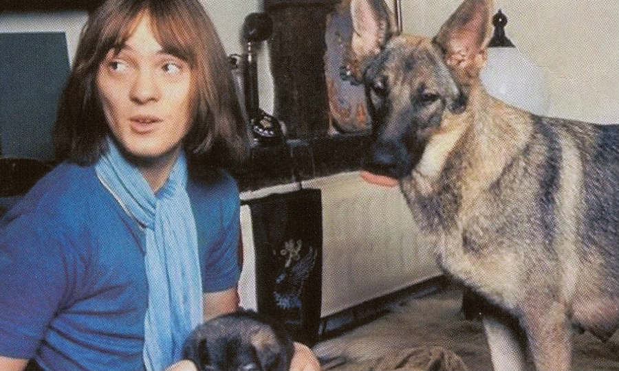 german shepherd dog song