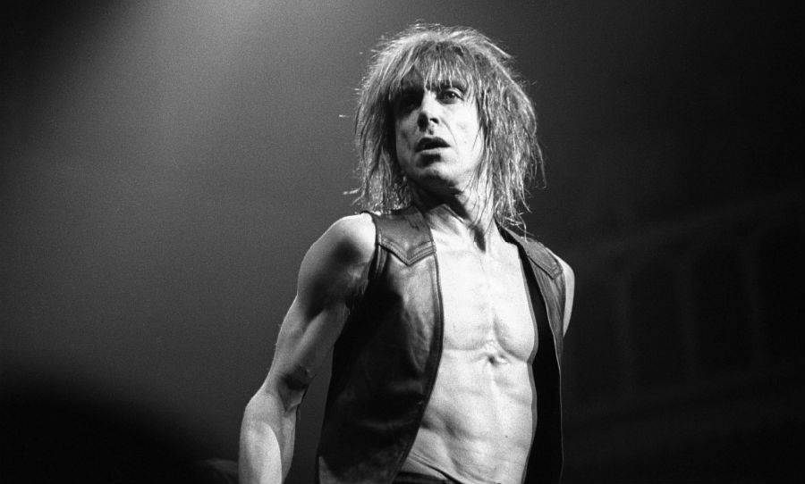 Bandiet Zwaaien Kaliber The Godfather of Punk: these are Iggy Pop's best 5 albums