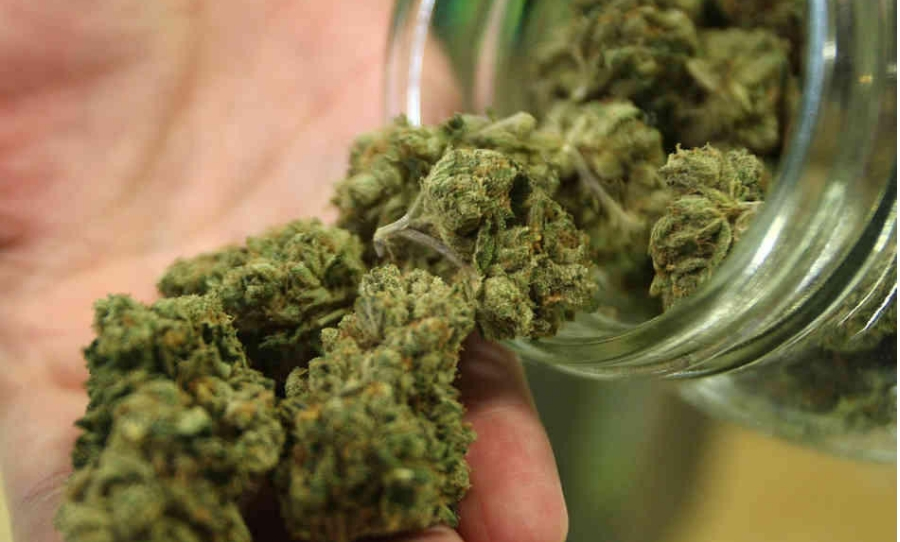 canada weed marijuana legal