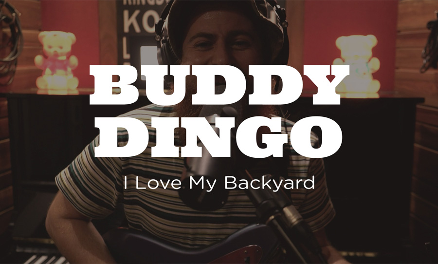 buddy dingo i love my backyard live at enmore audio