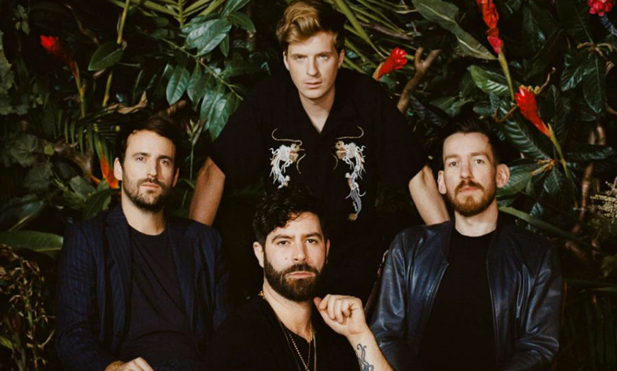 foals-large