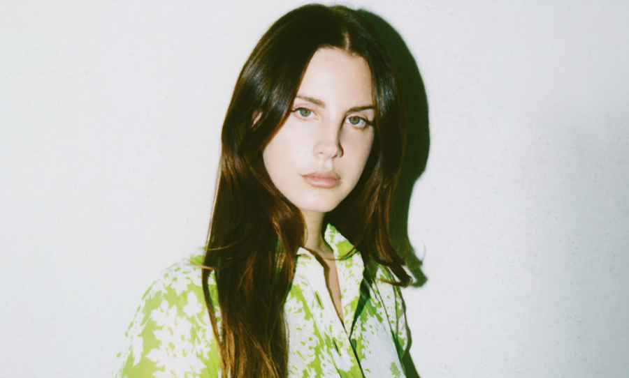 Lana Del Rey announces $1 book, 