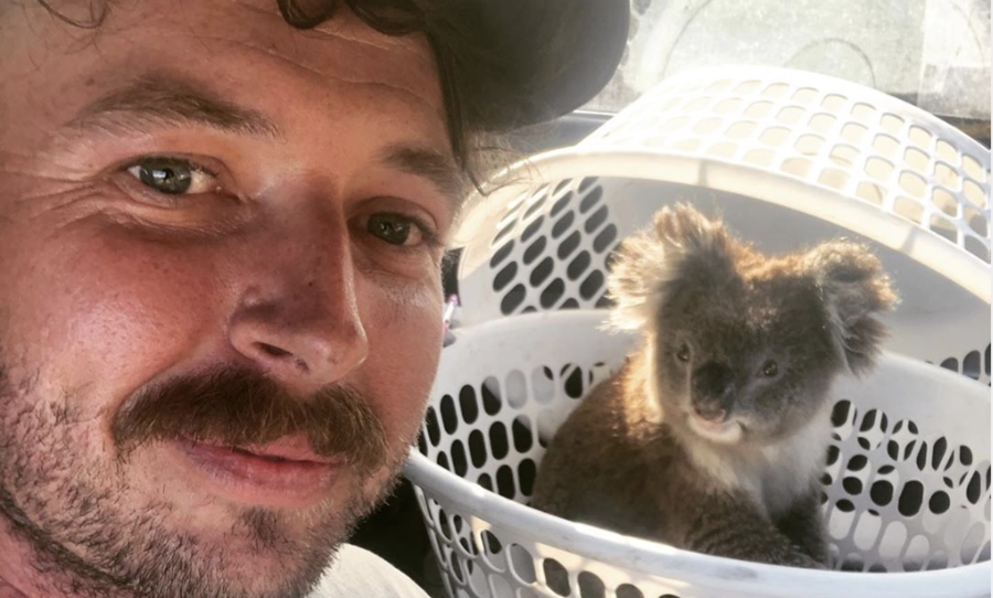 kai, rescue koalas, bushfires