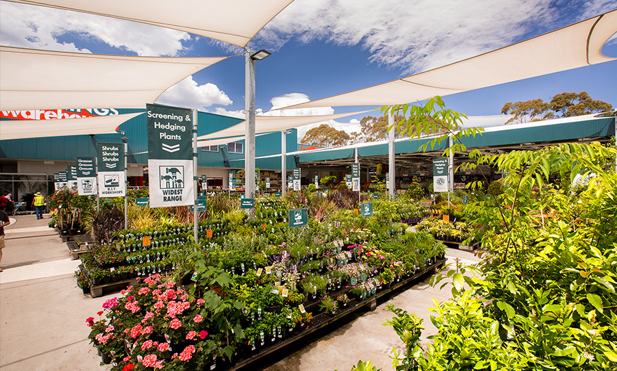 Bunnings will replace your plants if they die in the first 12 months