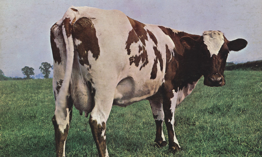 wanted cow poster atom heart mother