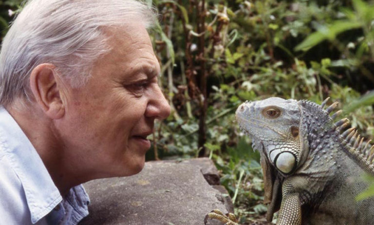 David Attenborough is giving free geography lessons to kids in lockdown