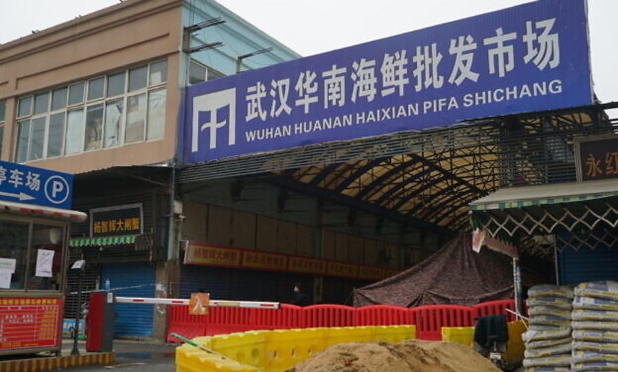 Wuhan Huanan seafood markets