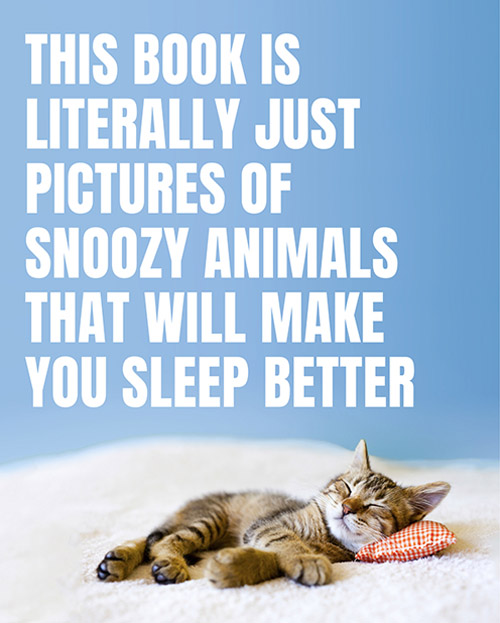 Picture of Snoozy Animals Cover