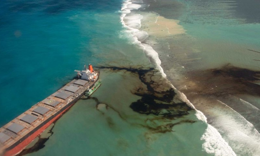 mauritius-oil-spill-disaster (4)