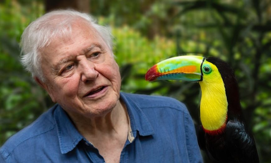 David Attenborough Cracks 1 Million Followers On Instagram In World