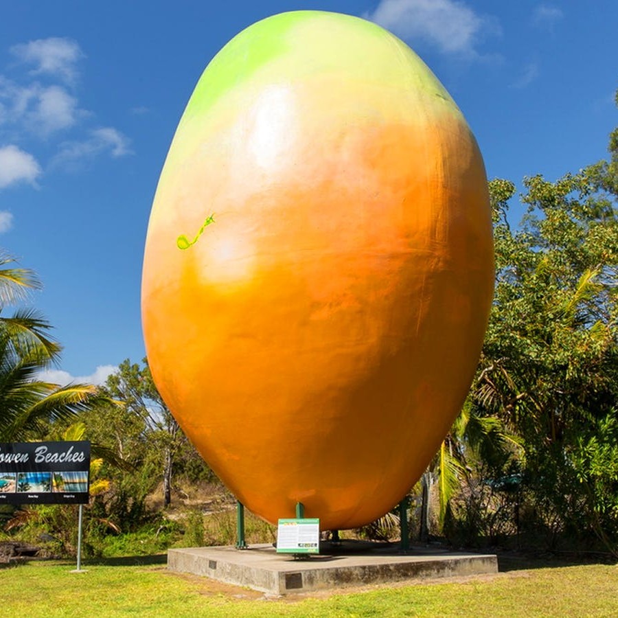 The Giant Mango