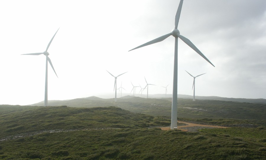 Tasmania Renewable