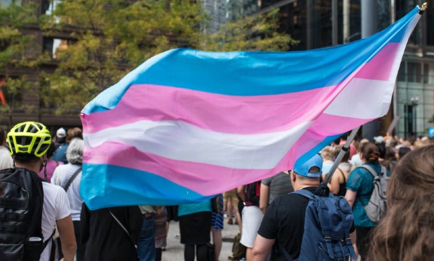 Trans Flag Sydney protest