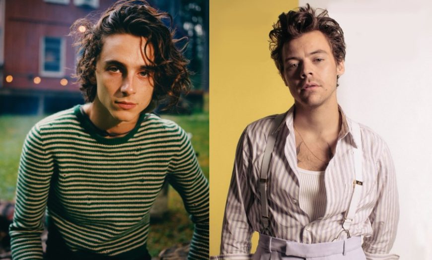 timothee,harry styles