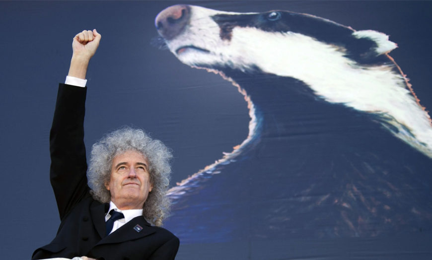 Brian May Has Dropped A Badger-scented Perfume, For Charity