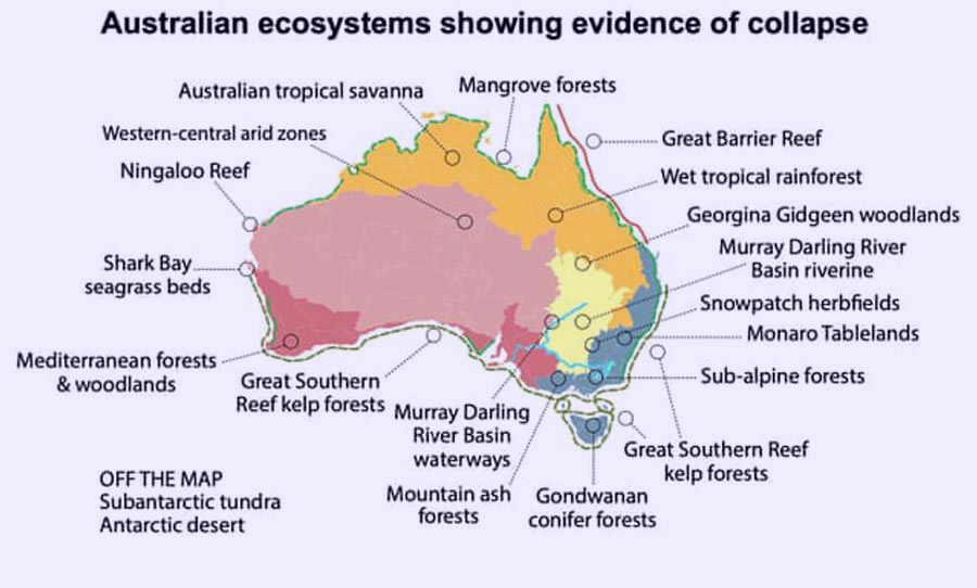 19 Australian ecosystems are due human impact, report finds
