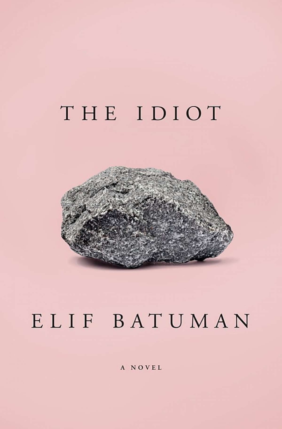 the idiot coming of age books