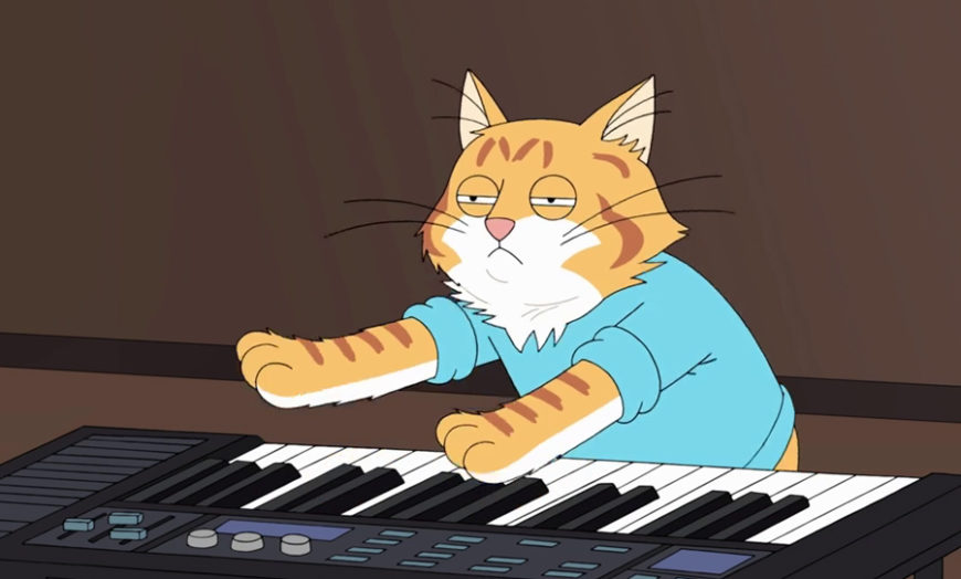 Cat keyboard solo