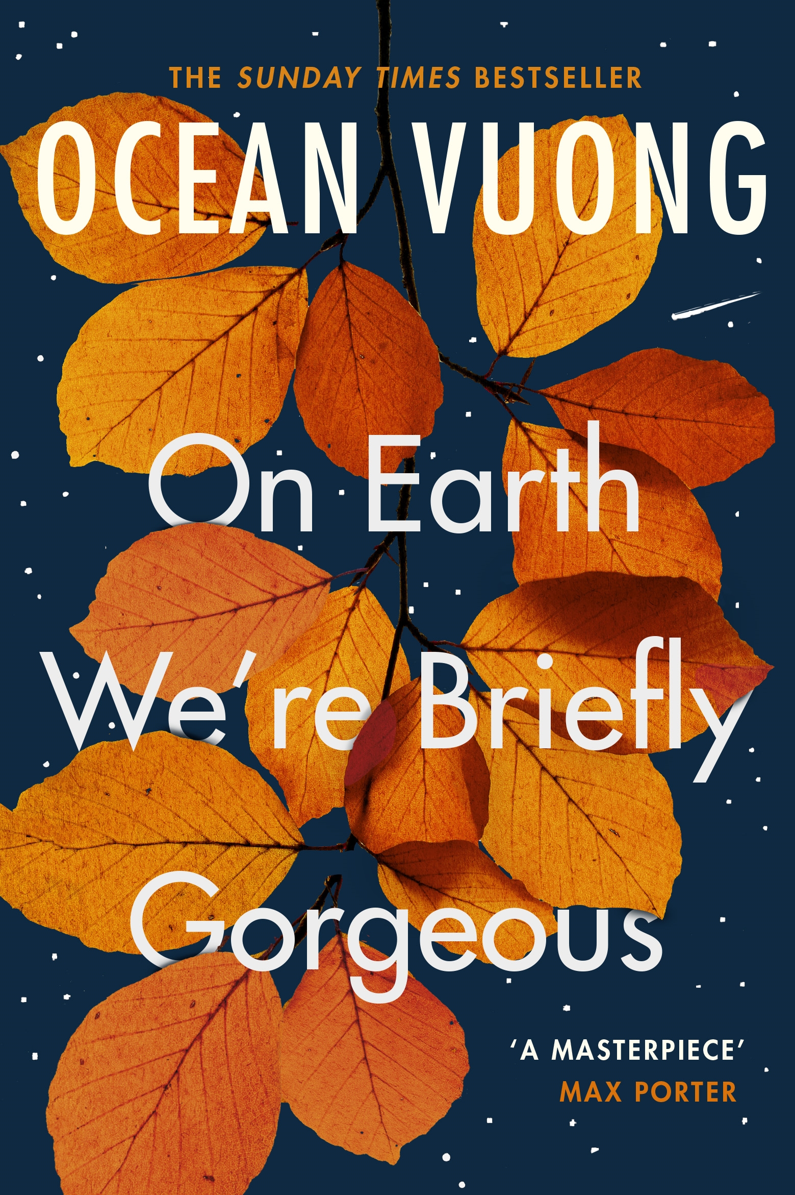 ocean vuong on earth we're briefly gorgeous best fiction books