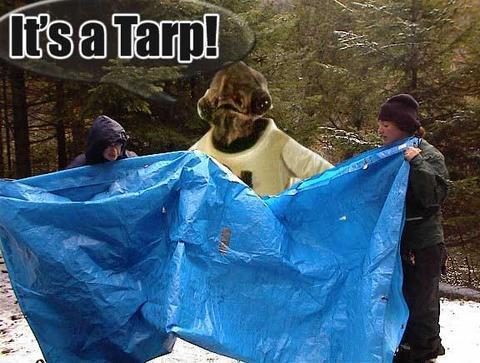It's a tarp