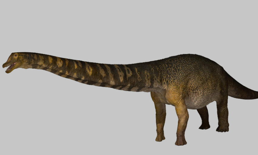 largest dinosaur ever recorded