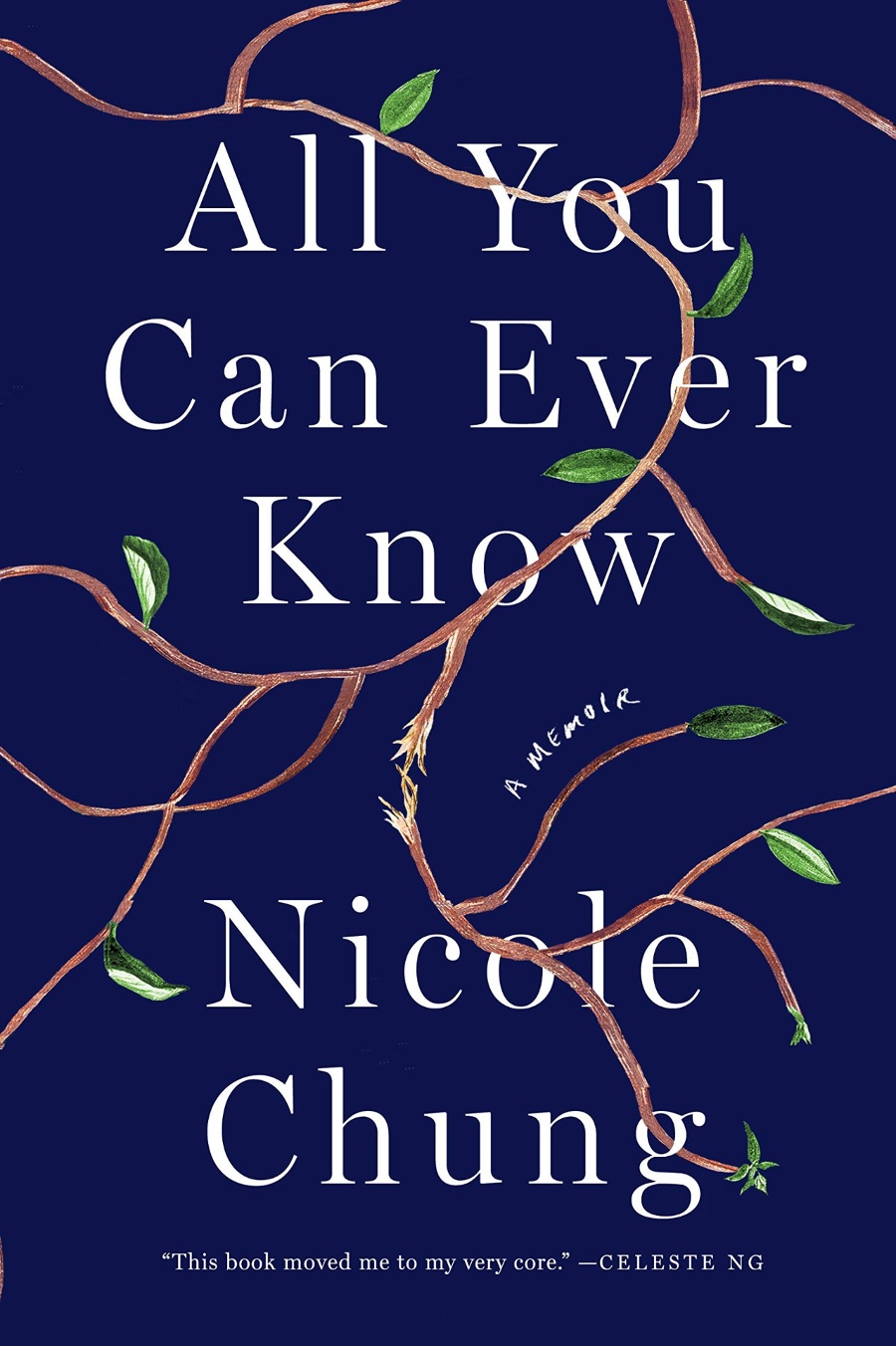 all you can ever know book