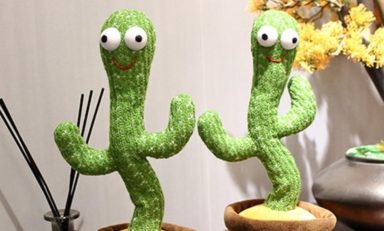 crazy cactus toy