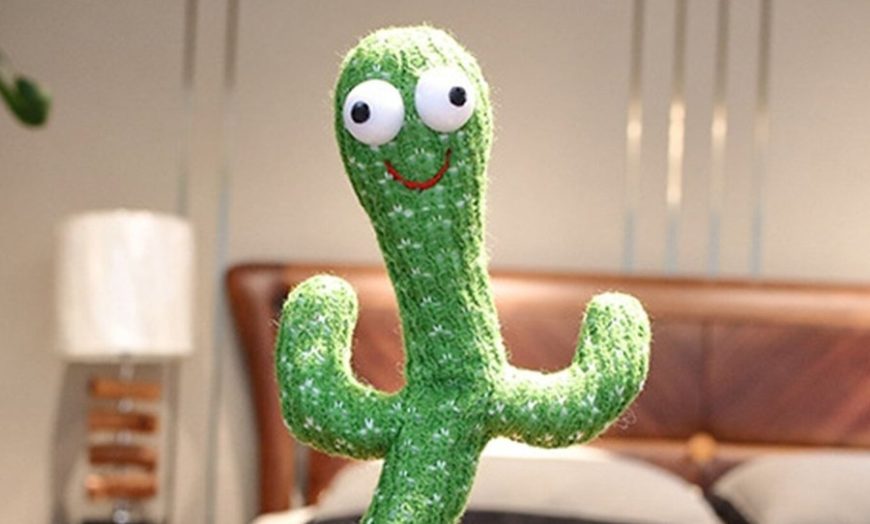 polish cactus toy