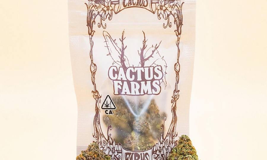 Travis scott weed cactus farms buds