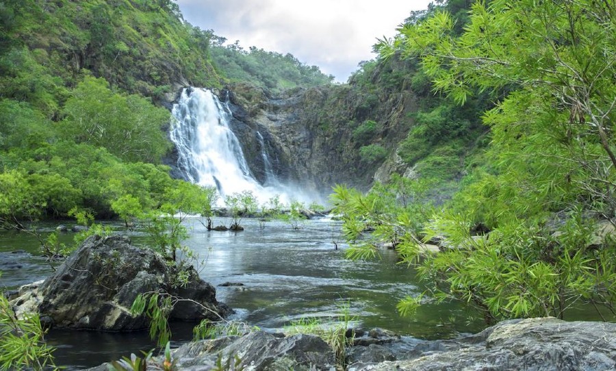 The Daintree region is home to waterfalls, rivers and many species of flora and fauna