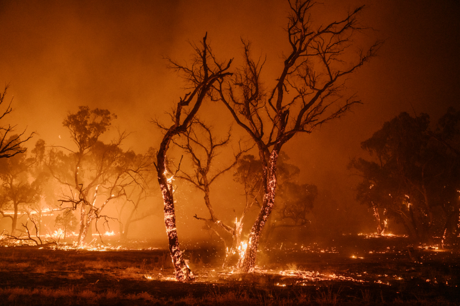 bushfire australia 