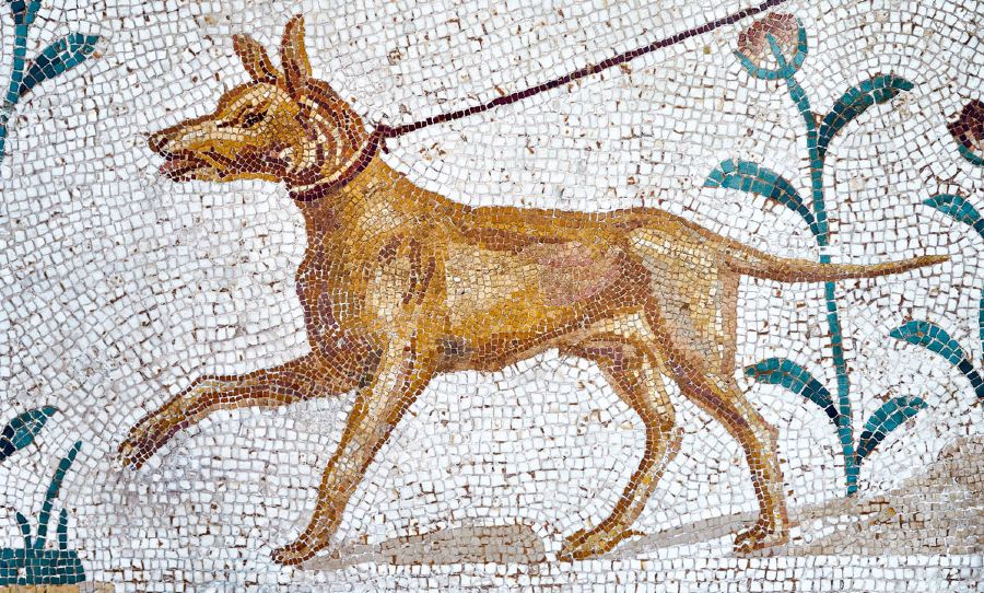 Roman Dog Fresco from Bardo museum, Tunisia