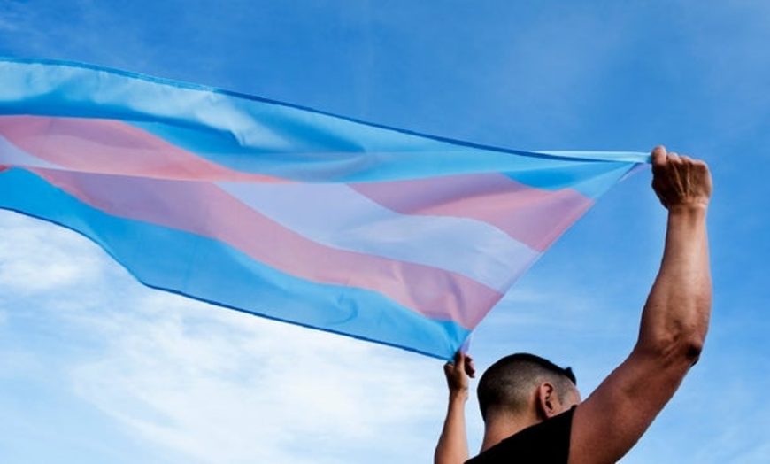 trans flag 2