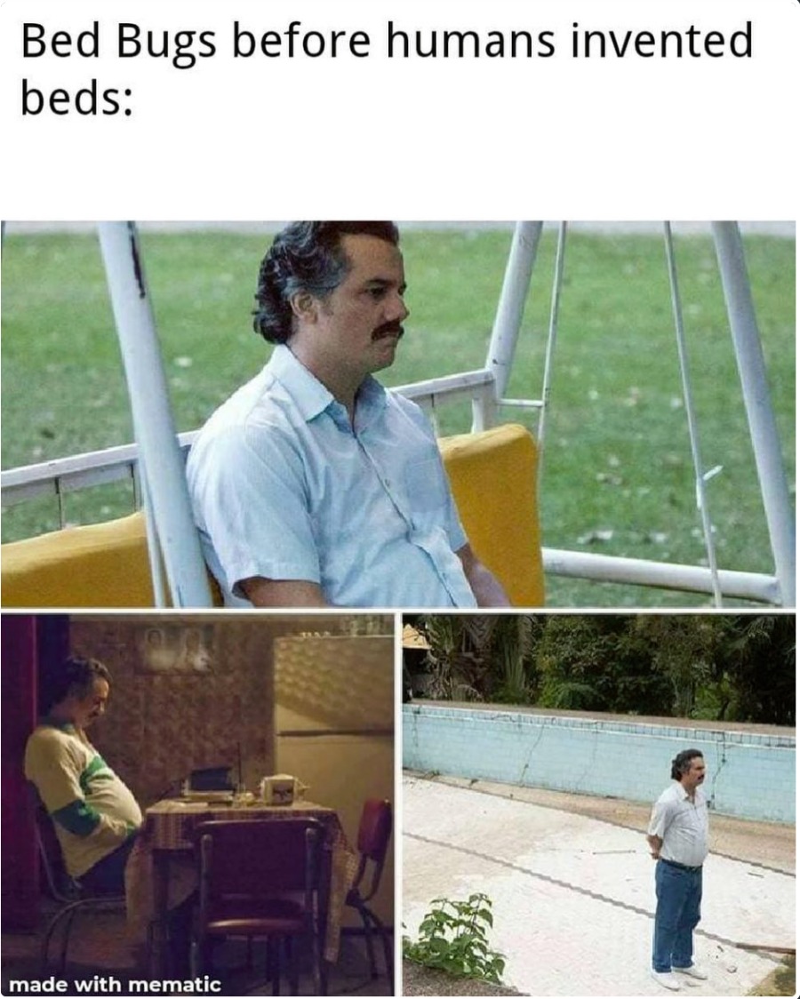Bed bugs meme