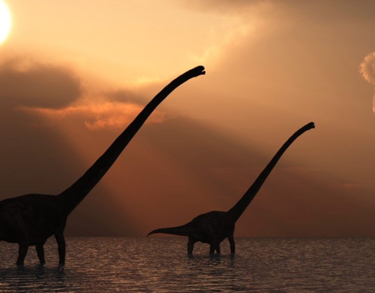 Image for article - Scientists have dug up part of a dinosaur that died the same day the asteroid hit