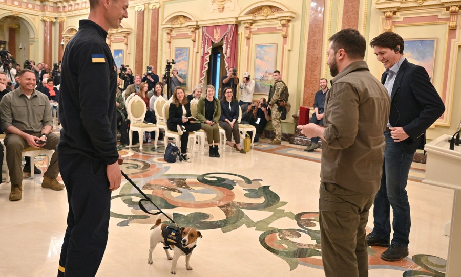 Ukraine sniffer dog
