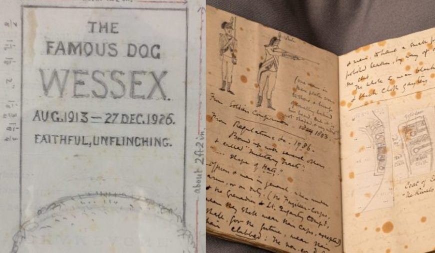 Thomas Hardy's life is currently on display in Wessex