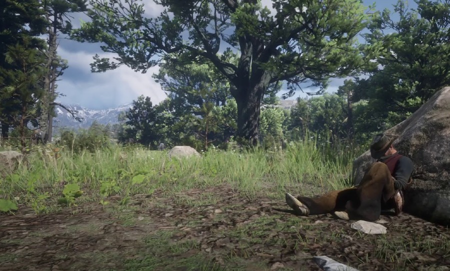 red dead nap