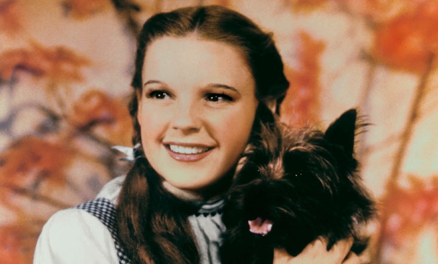 Judy Garland in Wizard of Oz