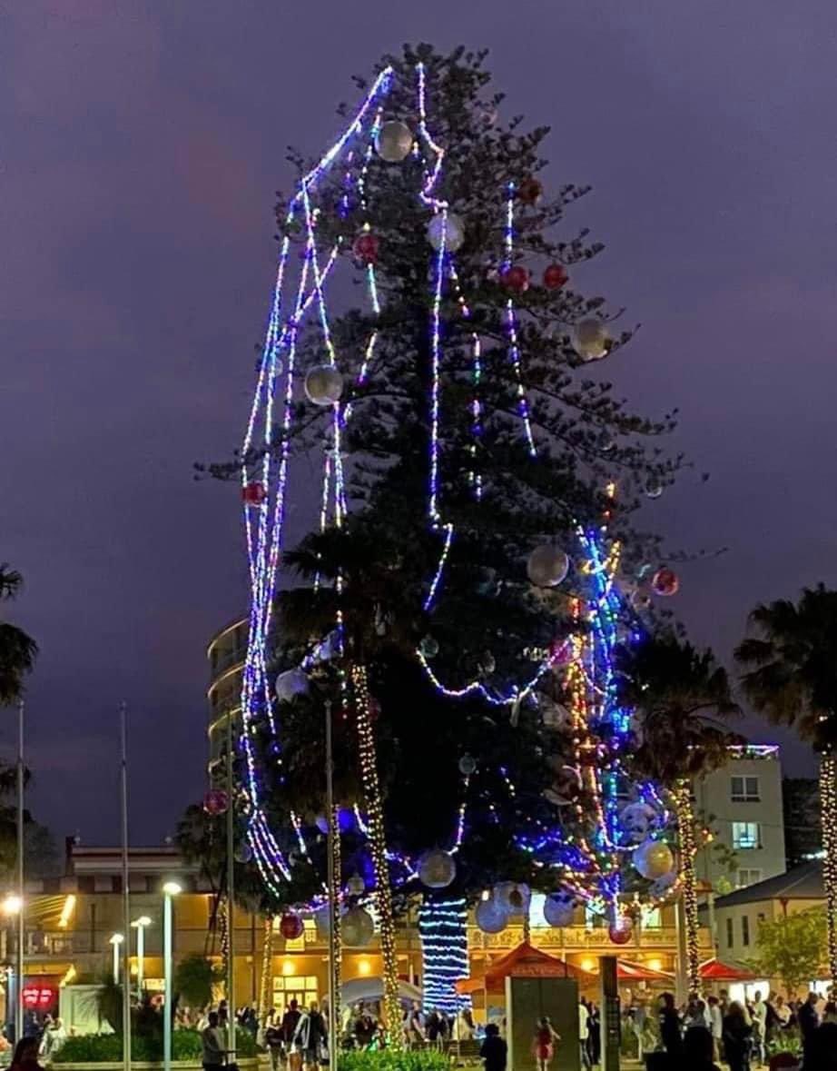 Port Macquarie Hastings Christmas tree   