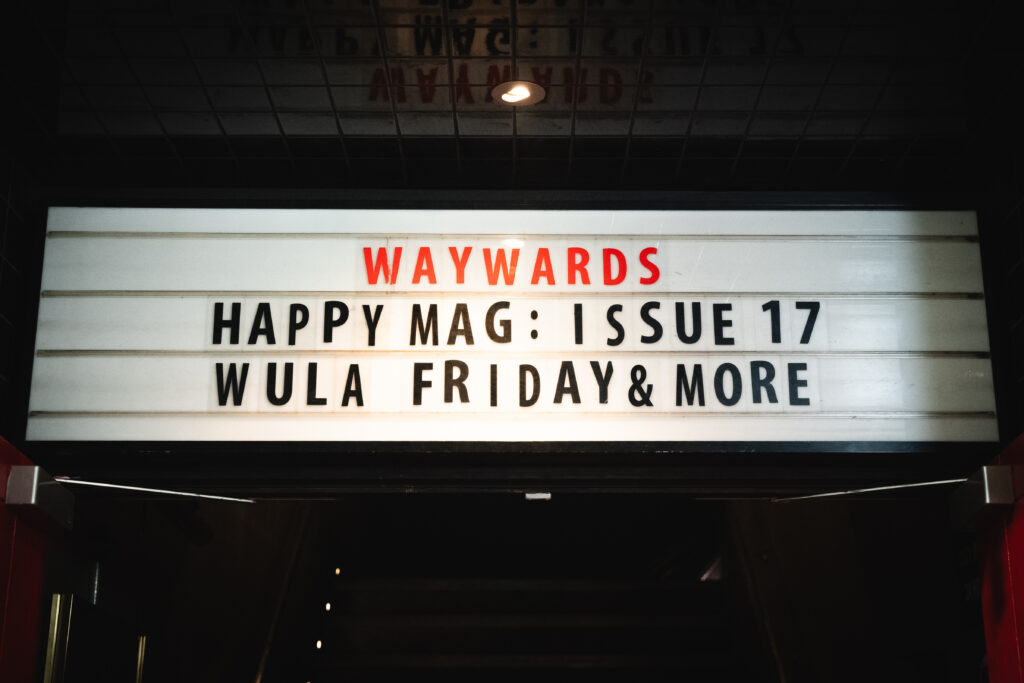issue 17 waywards