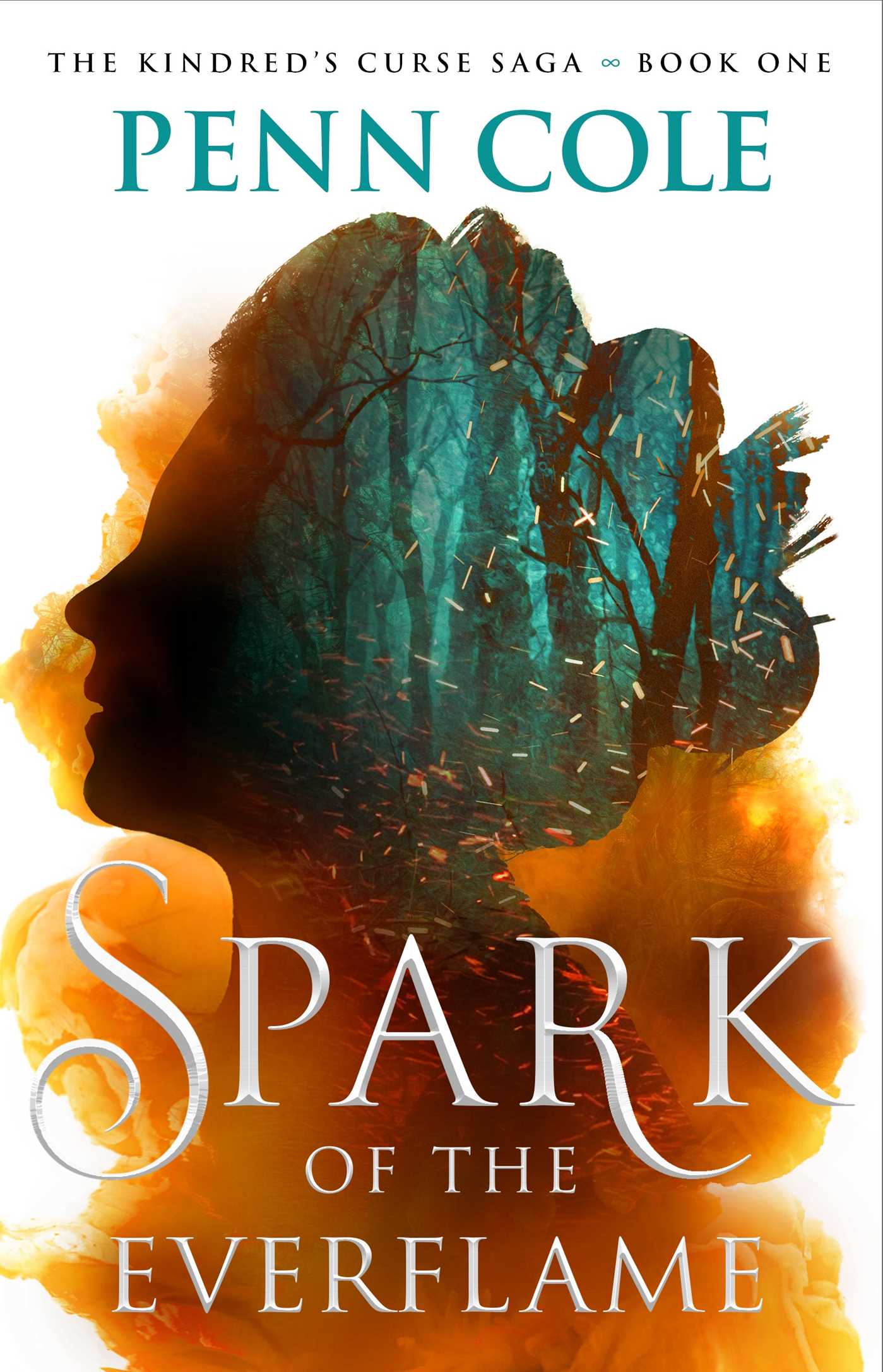 spark of the everflame bst tiktok books 2024