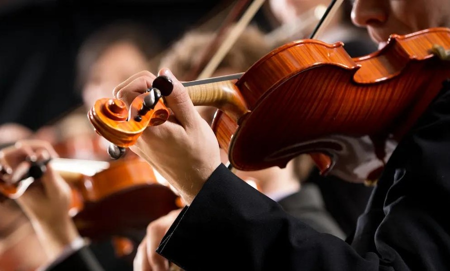 orchestra instruments